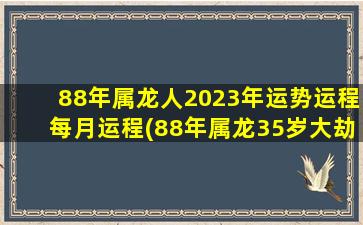 88年属龙人2023年运势运程