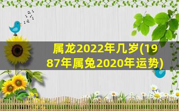 属龙2022年几岁(1987年属兔