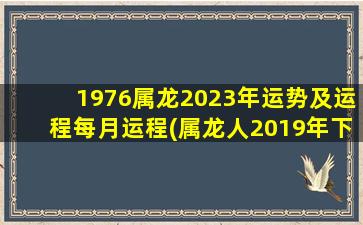 1976属龙2023年运势及运程每