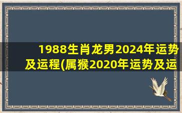 1988生肖龙男2024年运势及运