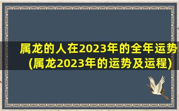 <strong>属龙的人在2023年的全年运</strong>