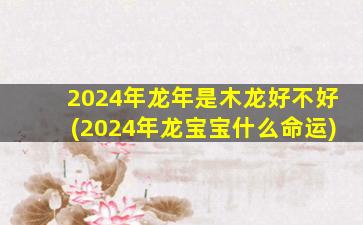 2024年龙年是木龙好不好