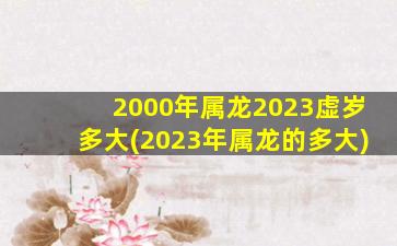 2000年属龙2023虚岁多大(2