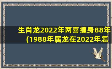 生肖龙2022年两喜缠身88年(1988年属龙在2022年怎么样)