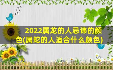 2022属龙的人忌讳的颜色(属蛇的人适合什么颜色)