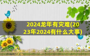 2024龙年有灾难(2023年2024有什么大事)