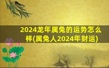 2024龙年属兔的运势怎么样(属兔人2024年财运)