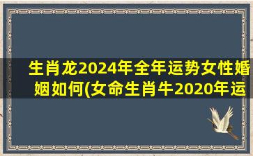 生肖龙2024年全年运势女性