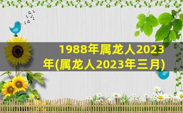 1988年属龙人2023年(属龙人