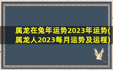 属龙在兔年运势2023年运势(属龙人2023每月运势及运程)