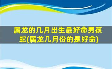 属龙的几月出生最好命男