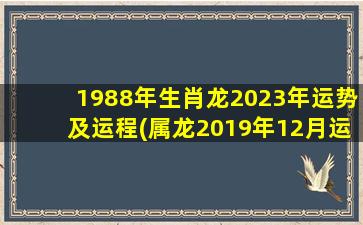 1988年生肖龙2023年运势及运程(属龙2019年12月运势)