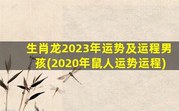 生肖龙2023年运势及运程男孩(2020年鼠人运势运程)