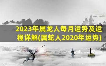 2023年属龙人每月运势及