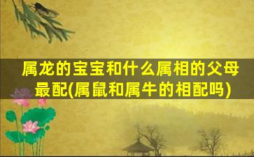 属龙的宝宝和什么属相的