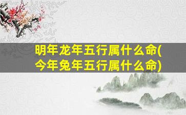 明年龙年五行属什么命(今年兔年五行属什么命)