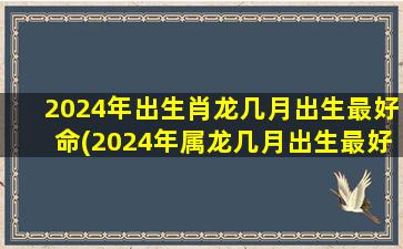 2024年出生肖龙几月出生最好命(2024年属龙几月出生最好命运)