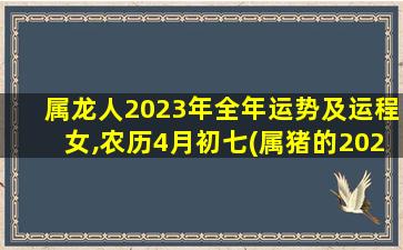 属龙人2023年全年运势及运程女,农历4月初七(属猪的2020年运势怎么样)