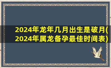 2024年龙年几月出生是破月