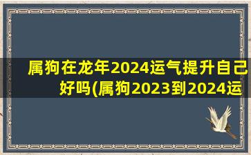 属狗在龙年2024运气提升自