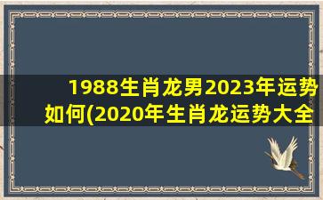 1988生肖龙男2023年运势如何