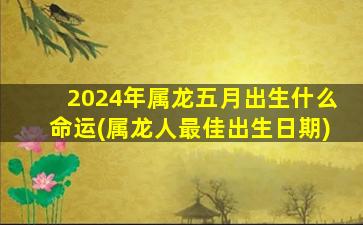 2024年属龙五月出生什么命