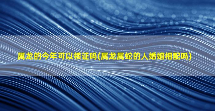 属龙的今年可以领证吗(属龙属蛇的人婚姻相配吗)