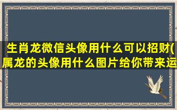 生肖龙微信头像用什么可