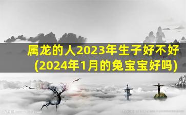 属龙的人2023年生子好不