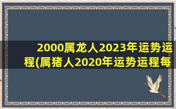 <strong>2000属龙人2023年运势运程</strong>