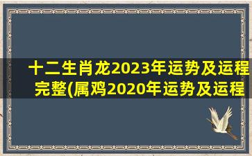 十二生肖龙2023年运势及