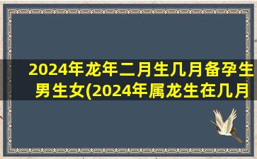 2024年龙年二月生几月备