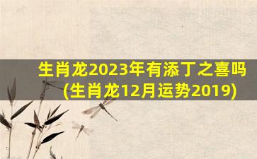 生肖龙2023年有添丁之喜吗(生肖龙12月运势2019)