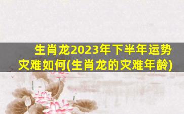 生肖龙2023年下半年运势灾难如何(生肖龙的灾难年龄)