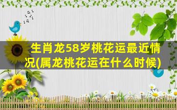 生肖龙58岁桃花运最近情