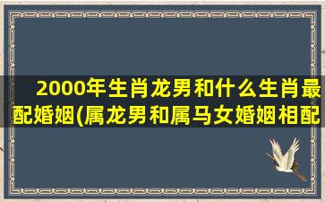 <strong>2000年生肖龙男和什么生</strong>