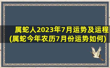 属蛇人2023年7月运势及运