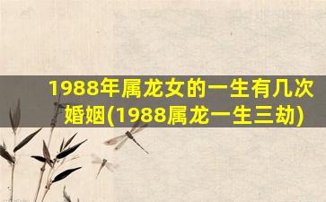 1988年属龙女的一生有几次婚姻(1988属龙一生三劫)