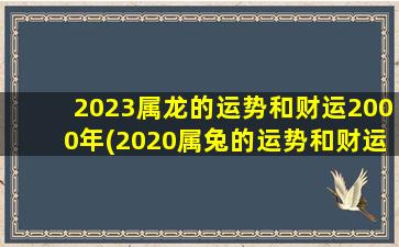 2023属龙的运势和财运2