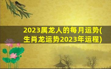 2023属龙人的每月运势(生