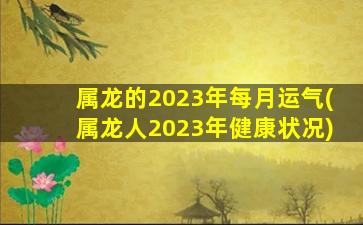 属龙的2023年每月运气(属龙