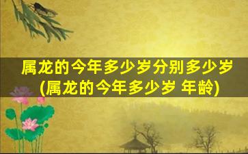 属龙的今年多少岁分别多少岁(属龙的今年多少岁 年龄)