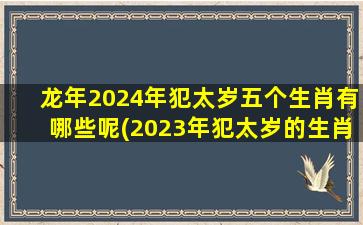 龙年2024年犯太岁五个生肖