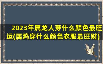 2023年属龙人穿什么颜色