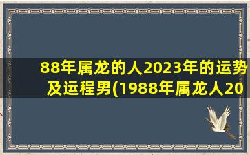 <strong>88年属龙的人2023年的运势</strong>