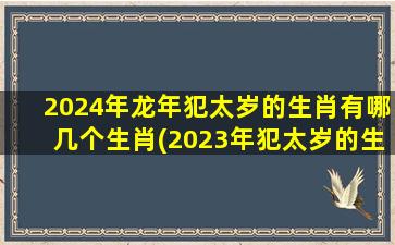 2024年龙年犯太岁的生肖有