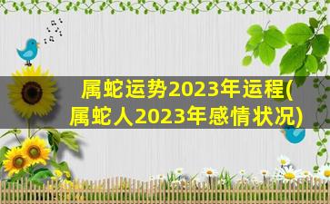 属蛇运势2023年运程(属蛇人