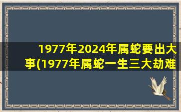 1977年2024年属蛇要出大事