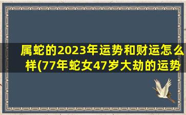 属蛇的2023年运势和财运怎么样(77年蛇女47岁大劫的运势)