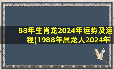 88年生肖龙2024年运势及运